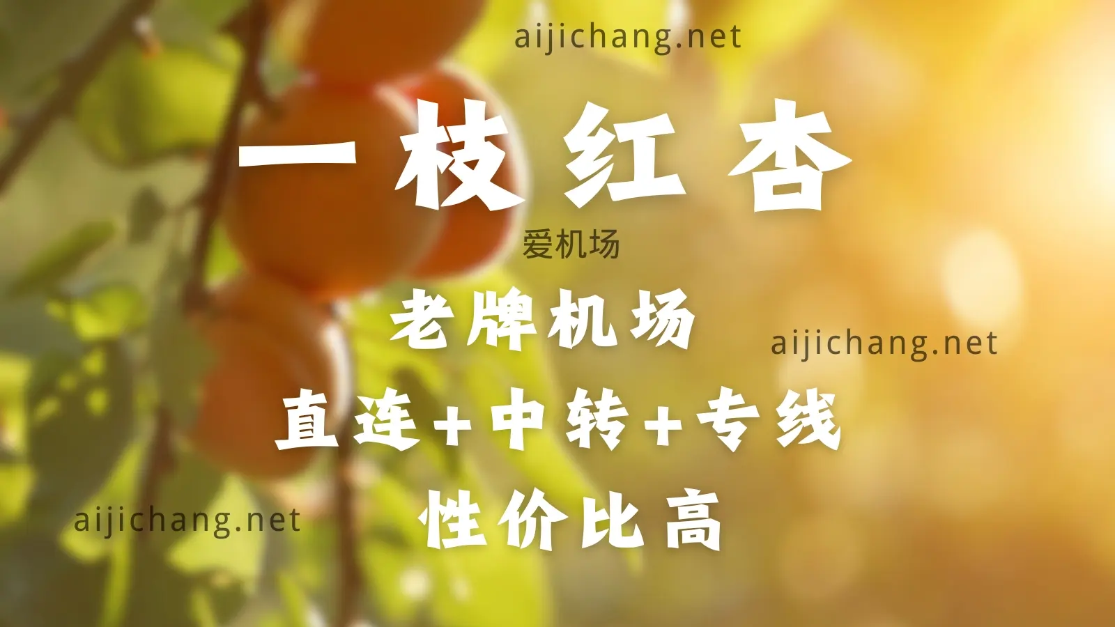直连机场推荐(2026 年持续更新中)-爱机场