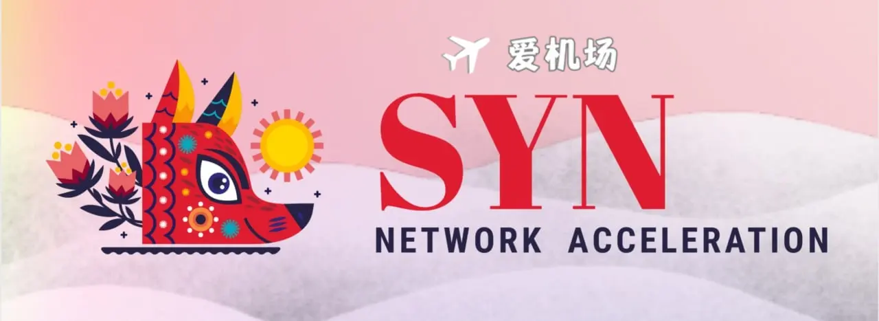 SYN 机场官网