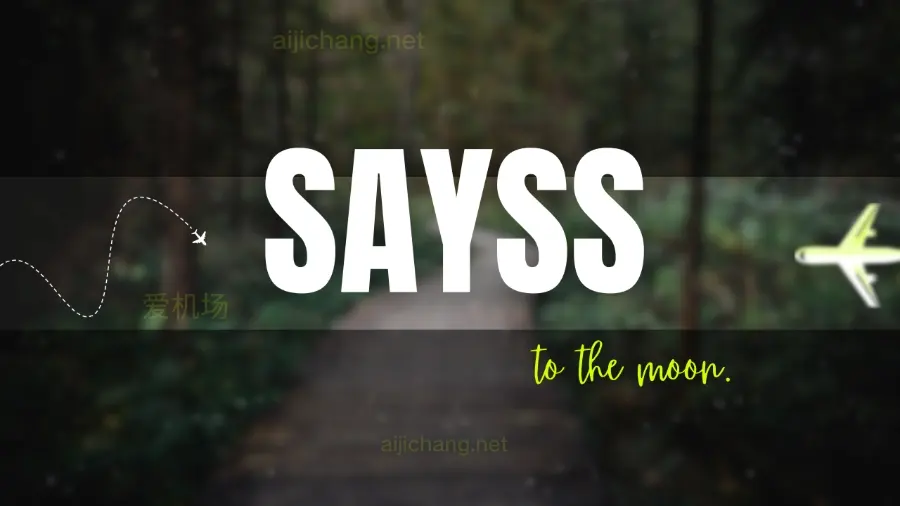 SaySS 机场怎么样？原 Qcrane 机场 | 低调小众专线 | BGP 入口-爱机场
