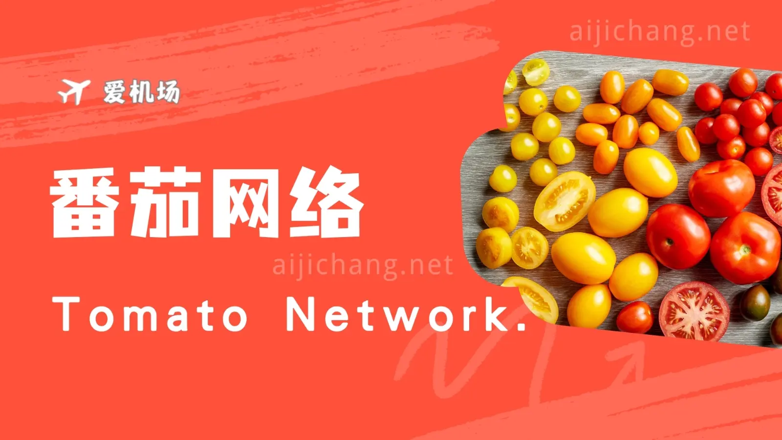番茄网络怎么样?Tomato Network | BGP 入口专线机场-爱机场