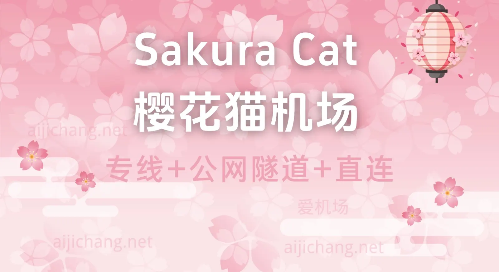 樱花猫机场怎么样?Sakura Cat 低调中转机场线路丰富便宜高性价比-爱机场